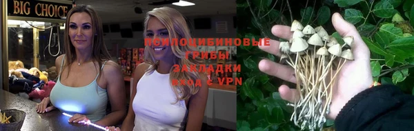 ALPHA PVP Арсеньев